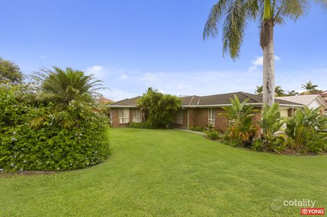 Property photo of 42 Eden Elm Street Calamvale QLD 4116