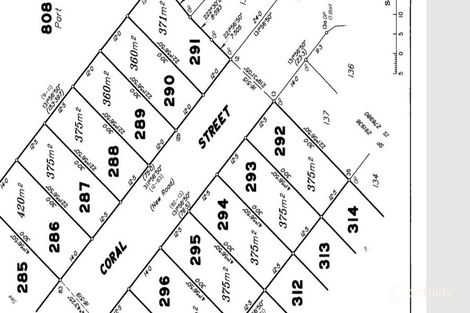 Property photo of LOT 289 Coral Street Pimpama QLD 4209