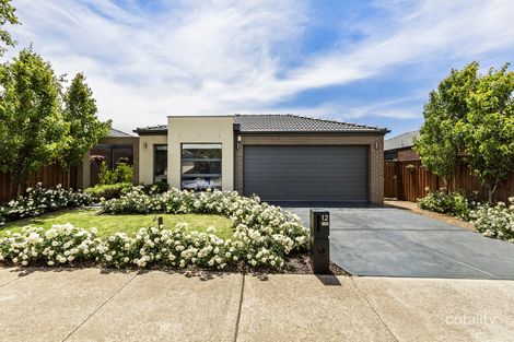 Property photo of 12 Balvicar Way Mernda VIC 3754