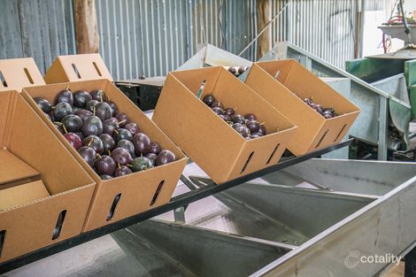 91 Dungay Creek Rd, Dungay, NSW 2484