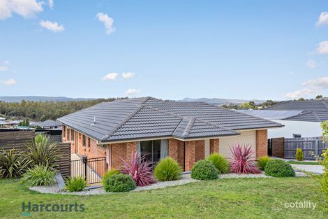 Property photo of 31 Bordin Street Prospect Vale TAS 7250