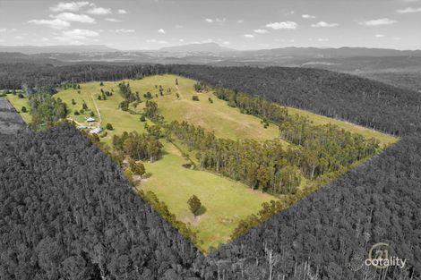 68 Creeleys Rd, Sassafras, TAS 7307