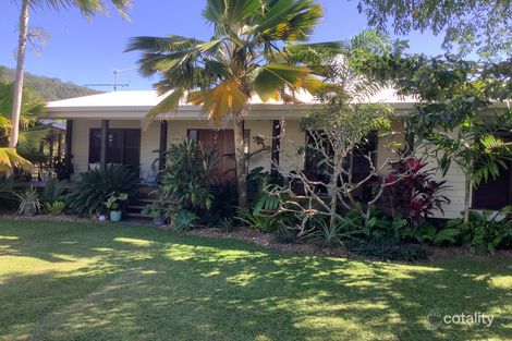 Property photo of 10 Roy Close Wonga Beach QLD 4873