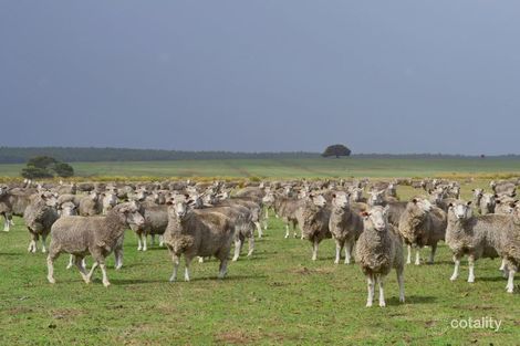 7834 South Coast Rd, Karatta, SA 5223