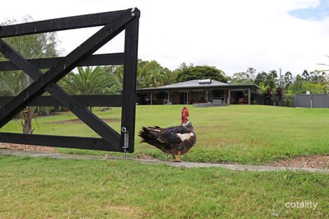 Property photo of 103-107 Natalie Road Buccan QLD 4207