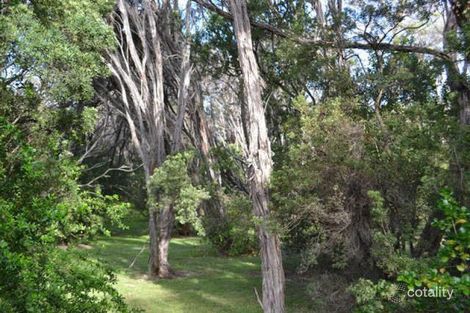 Property photo of 223 Melbourne Road Rye VIC 3941