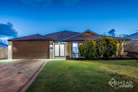 47 Pendleton Cres, Butler, WA 6036