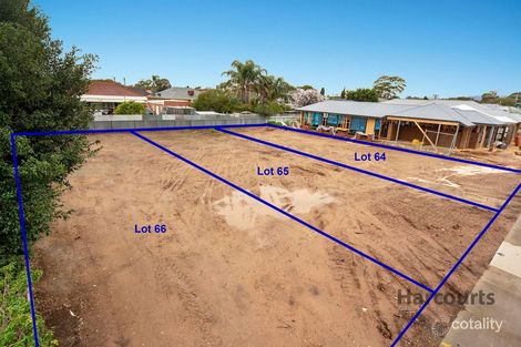 Property photo of 7 Hms Buffalo Avenue Edwardstown SA 5039