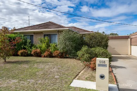 Property photo of 558 Kemp Street Lavington NSW 2641