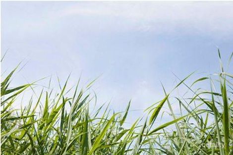 2/69 Mccubbin St, Burwood, VIC 3125