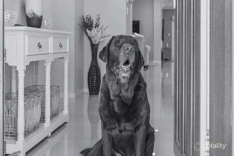 Property photo of 12 Birdwing Crescent Flagstone QLD 4280