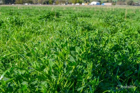 Property photo of 22 School Road Coolac NSW 2727