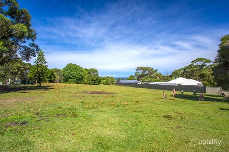 Property photo of 17 Forest Road Kioloa NSW 2539