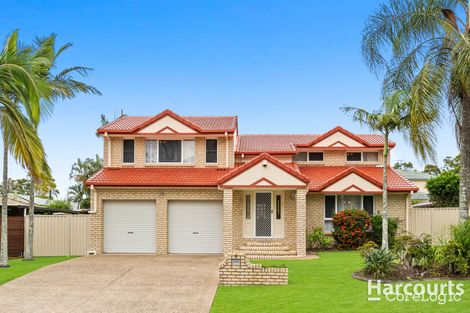 Property photo of 6 Dalwood Street Calamvale QLD 4116