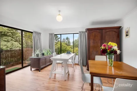 Property photo of 20/11 Davey Place South Hobart TAS 7004