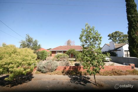 Property photo of 24 Norrie Avenue Clovelly Park SA 5042