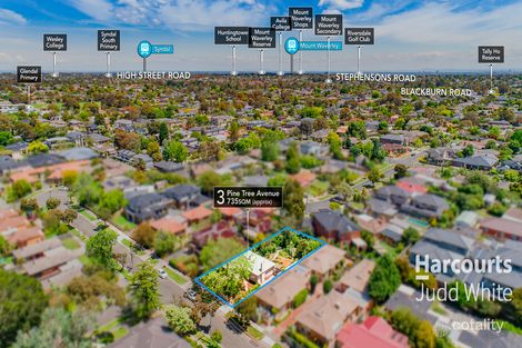 Property photo of 3 Pine Tree Avenue Glen Waverley VIC 3150
