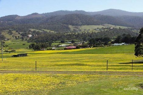 Property photo of 458 Back River Road Magra TAS 7140