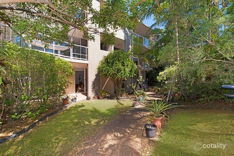 Property photo of 1/2 Box Street Buderim QLD 4556
