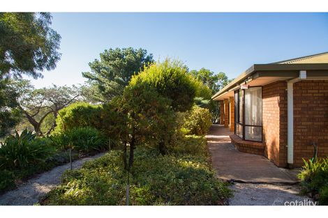 248b Bassnet Rd, Humbug Scrub, SA 5114