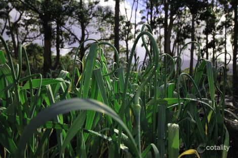 Property photo of 211 Lune River Road Lune River TAS 7109