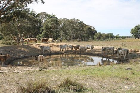 1403 Blue Springs Rd, Bungaba, NSW 2852