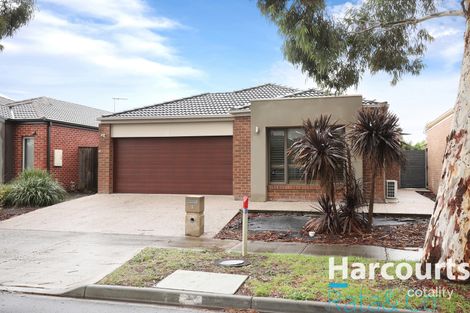Property photo of 5 Aralia Way Mernda VIC 3754