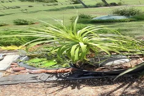 Property photo of 24 Breen Court McIlwraith QLD 4671