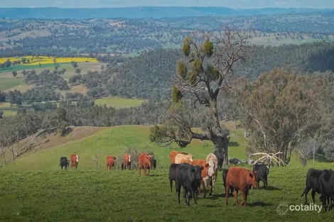 350 Ingles Rd, Neurea, NSW 2820