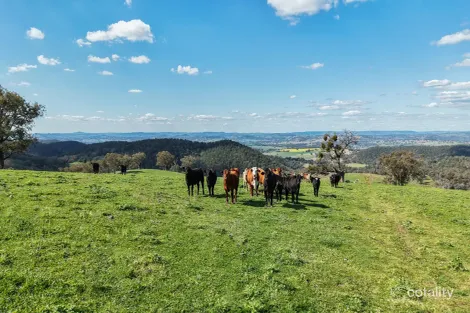 Property photo of 350 Ingles Road Neurea NSW 2820