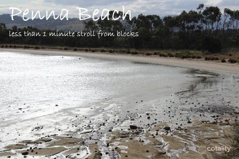 16 Penna Beach St, Midway Point, TAS 7171