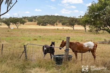 Lot 143 Golden Hwy, Cassilis, NSW 2329