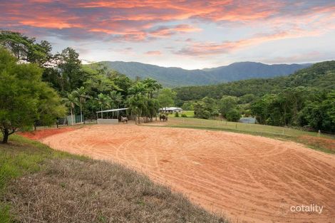 Property photo of 54 Gallet Road Little Mulgrave QLD 4865