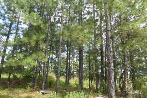 Property photo of 7 Dinner Creek Road Garradunga QLD 4860