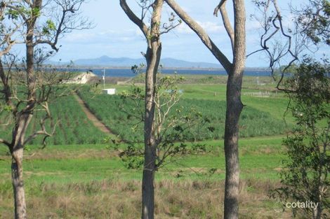 Property photo of 328 Leichhardt Road Mirani QLD 4754