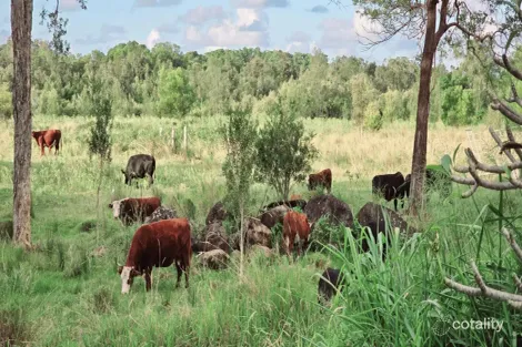 7/60 Elsie St, Banora Point, NSW 2486