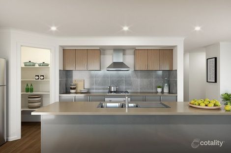 Property photo of 19 Principle Drive Botanic Ridge VIC 3977