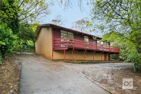 Property photo of 44 Watahuna Avenue Hawthorndene SA 5051