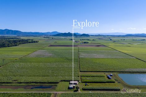 Property photo of 116 Brieffies Road Sandiford QLD 4740