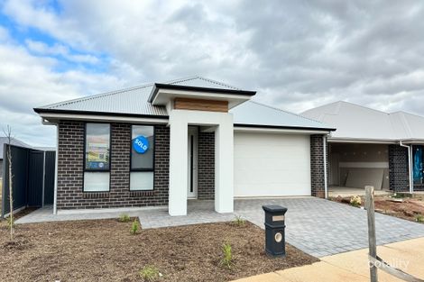 3 Reedy Rd, Riverlea Park, SA 5120