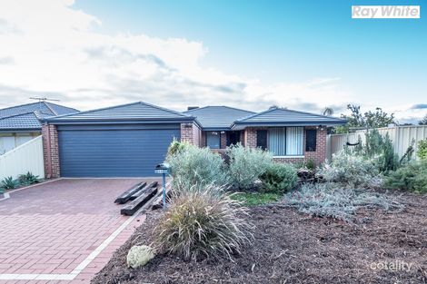 Property photo of 35 Ralphs Street Seville Grove WA 6112