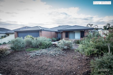 Property photo of 35 Ralphs Street Seville Grove WA 6112