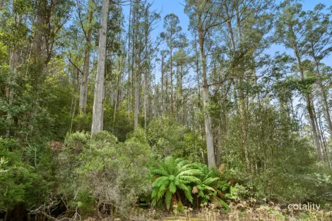 Property photo of 284 Llantwit Road Woodbridge TAS 7162