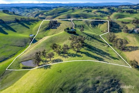 91 Mountain View-Mcdonalds Trk, Mountain View, VIC 3988