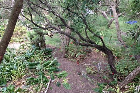 Property photo of 4 Yera Crescent Rye VIC 3941