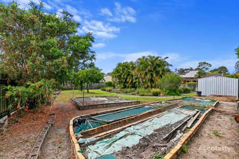 Property photo of 64 Honeysuckle Avenue Kawungan QLD 4655