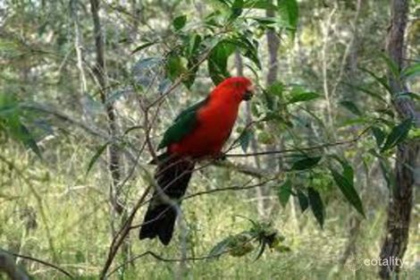 28 Cicada Cl, Buderim, QLD 4556