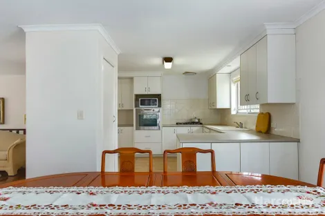 Property photo of 12 Darwin Street Aspley QLD 4034