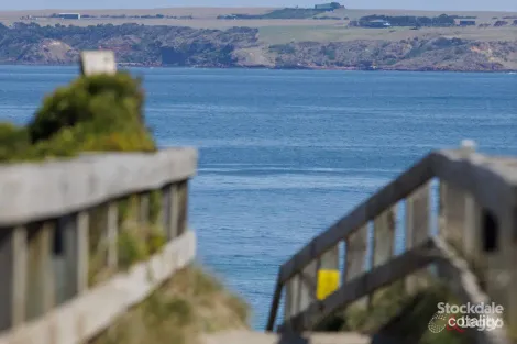 Property photo of 8 Dunvegan Crescent Surf Beach VIC 3922