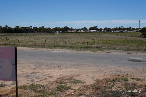 Property photo of 55 Darling Avenue Murray Bridge SA 5253